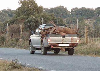 Organizaciones ecologistas critican que la Junta de Extremadura permita la caza en el Parque Nacional de Monfragüe