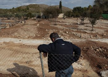 Compromís reclama a Agricultura que establezca ayudas para los afectados por los destrozos de la DANA