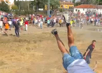 PACMA, sobre el Toro de La Vega: «el empeño de los tordesillanos acaba en tragedia»