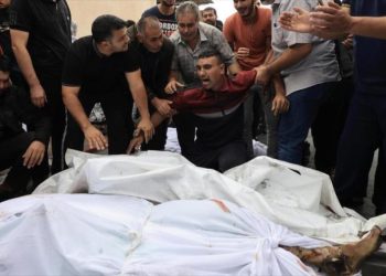 EEUU veta en CSNU resolución que pedía pausas humanitarias en Gaza