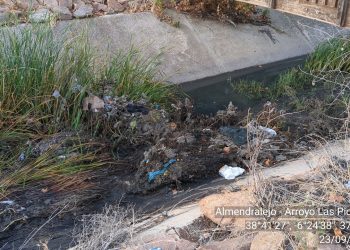 La Plataforma contra la Contaminación de Almendralejo denuncia la inacción del Ayuntamiento y su falta de cumplimiento de la ley