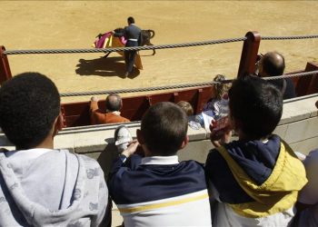 Verdes EQUO se une a la petición de la suspensión de la clase taurina para niños y pide declarar la ciudad “libre del maltrato animal”