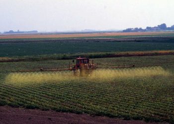 Más de un centenar de entidades agrarias, científicas y ecologistas reclaman al Gobierno leyes ambiciosas contra plaguicidas como el glifosato