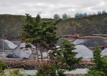 Coordinadora Ecoloxista d’Asturies: «Nos preocupa un nuevo parque de carbones en el puerto del Musel en Aboño en Carreño»