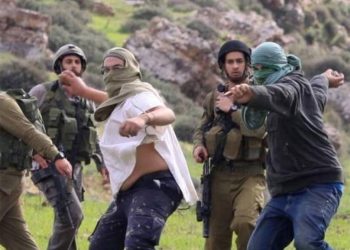 Naciones Unidas denuncia el aumento de ataques de colonos israelíes contra palestinos