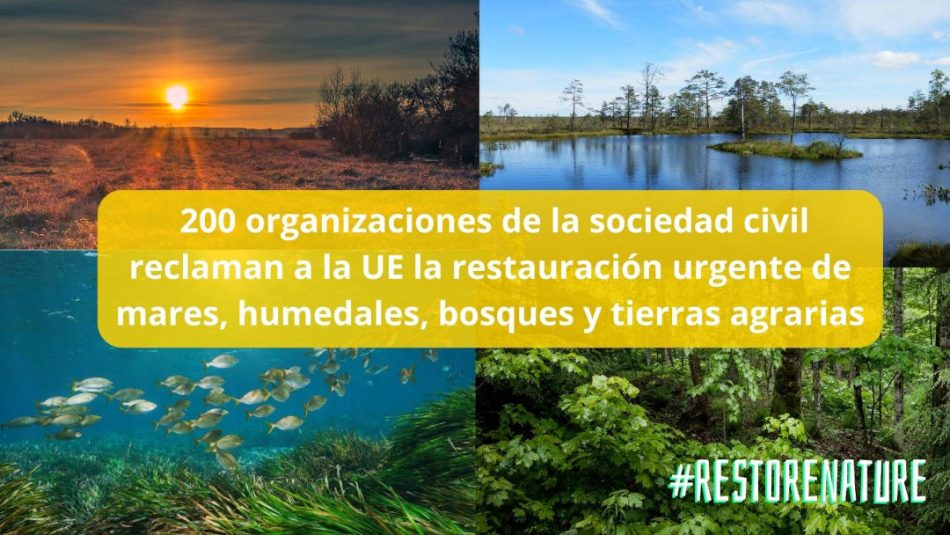 Las organizaciones ecologistas reclaman un Reglamento de Restauración de la Naturaleza a la altura de las circunstancias