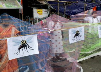 Dengue y factores socioculturales: los claroscuros para conseguir vacunas ante una amenaza de salud mundial