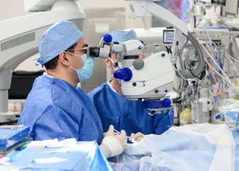 Determinada por primera vez la edad molecular del ojo