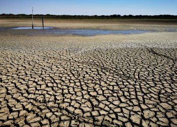 El verano de 2022 fue el más caluroso en España de los últimos 700 años