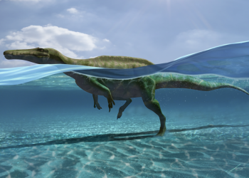 Encuentran en La Rioja 27 huellas de dinosaurios que sabían nadar