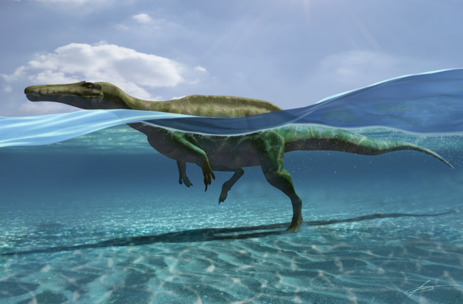 Encuentran en La Rioja 27 huellas de dinosaurios que sabían nadar