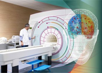 Entre el desafío científico y los nuevos enigmas: así concluye una década de investigación del cerebro