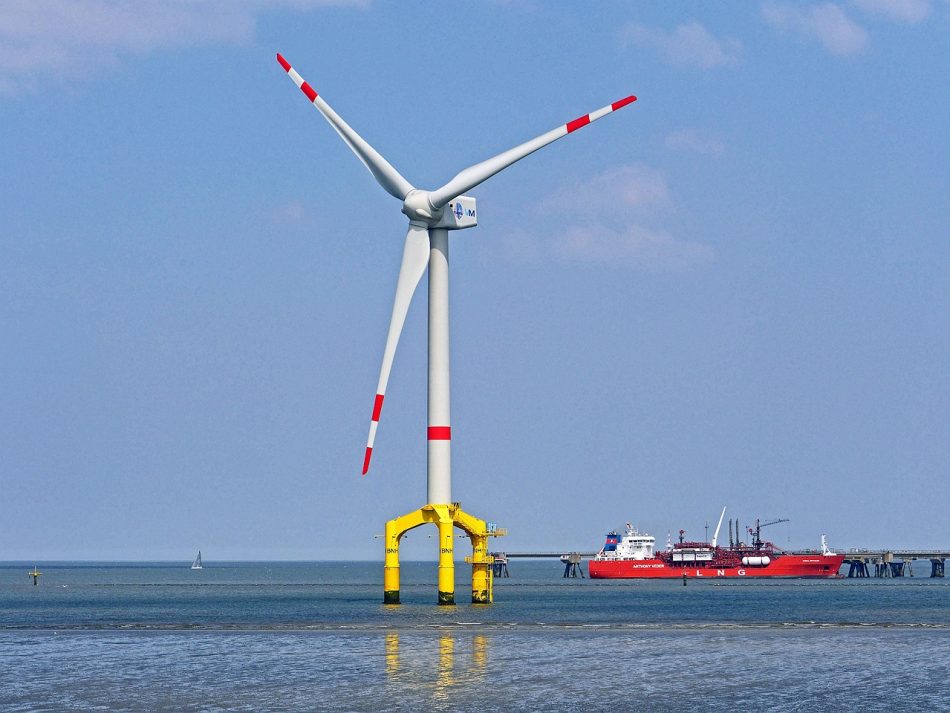 Ciencia de primer nivel para evaluar el impacto de las renovables sobre los ecosistemas mediterráneos: una investigación participada por el CSIC destaca la importancia de proteger la biodiversidad de l’Empordà frente a la eólica marina