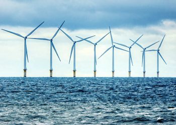 Del «greenwashing» al «bluewashing»: la patronal de la eólica marina recluta entre críticas a SEO/Birdlife y WWF para impulsar el negocio de la ‘energía azul’ en Mediterráneo y Atlántico a través de la iniciativa Med OCEaN
