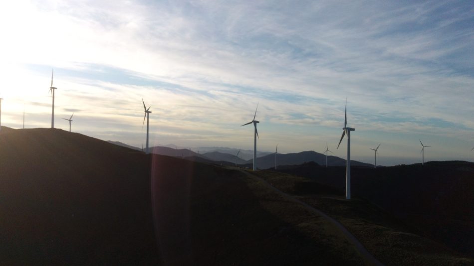 «No es aceptable más eólicos en la Reserva de la Biosfera del río Eo, Oscos y Tierra de Burón, como hoy autoriza Principado»