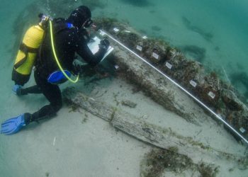 Los restos de ganado en un galeón hundido en Ribadeo explican la alimentación de los marinos en el siglo XVI