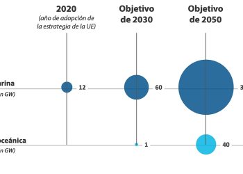 El último informe del Tribunal de Cuentas Europeo alerta de los riesgos de la eólica marina a gran escala y desmonta la perspectiva de la coalición Med OCEaN, polémica alianza empresarial en la que participan SEO/Birdlife y WWF