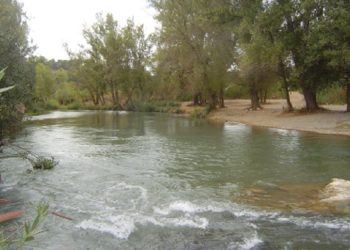 Compromís cree alarmante que Medio Ambiente considere que la protección del Parque del Turia no está en vigor