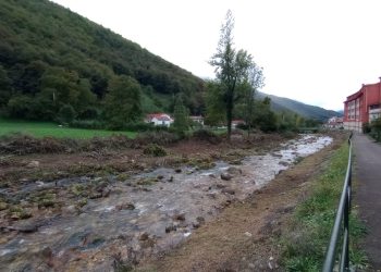 Arrasan con todo el bosque de ribera del río San Isidro en Felechosa en Aller (Asturias)