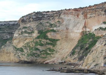Ecocidio en un espacio protegido de la Red Natura en Melilla