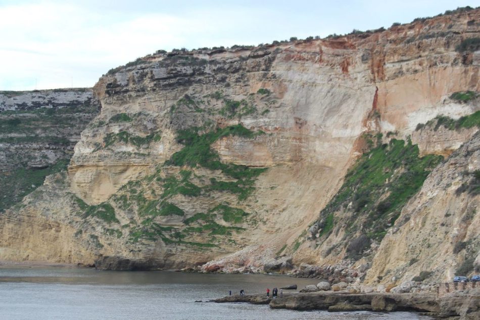 Ecocidio en un espacio protegido de la Red Natura en Melilla