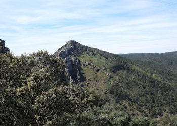 Preocupación por la posibilidad de que vuelva la caza a Parque Nacional de Monfragüe