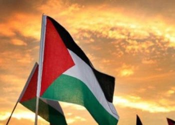 Grupos palestinos piden a la ONU medidas urgentes para detener agresión