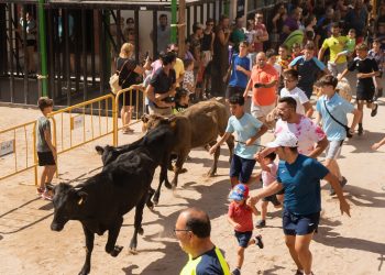 Piden la cancelación de la «Entrada de trashumancia» en Onda, encierro taurino infantil que se hace pasar por actividad ganadera