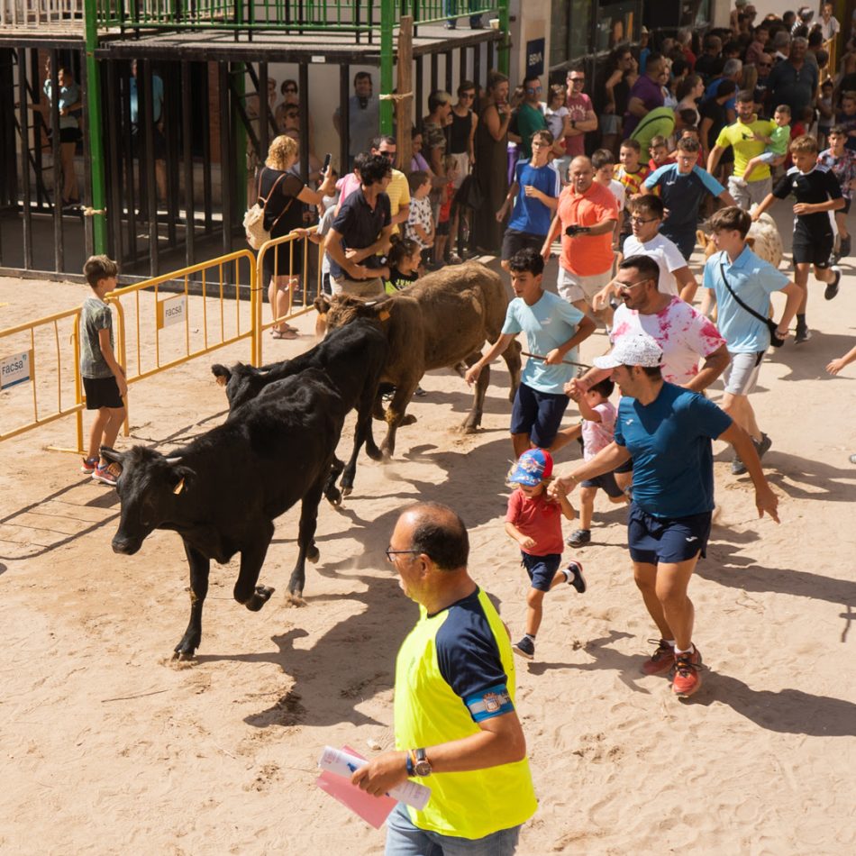 Piden la cancelación de la «Entrada de trashumancia» en Onda, encierro taurino infantil que se hace pasar por actividad ganadera