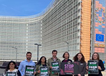 PACMA abre diálogo en Bruselas para pedir a la Comisión y Parlamento europeos que no permitan la cría intensiva de pulpos
