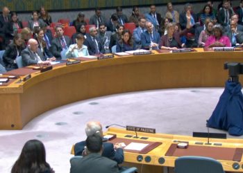 Consejo de Seguridad pide finalmente pausas humanitarias en Gaza 