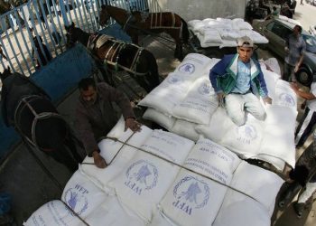 El Programa Mundial de Alimentos reclama más ayuda para Gaza ante la grave crisis humanitaria