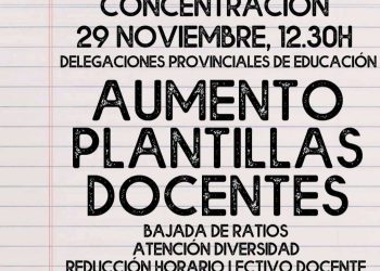 CCOO y USTEA enseñanza convocan concentraciones en todas las Delegaciones de Educación de Andalucía, el 29 de noviembre