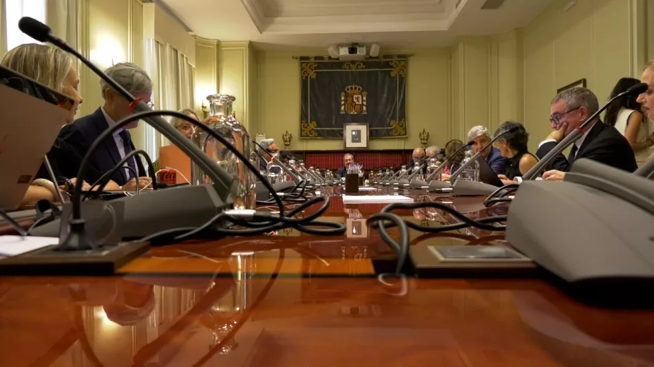 Enrique Santiago denuncia ese “partido judicial” que incluye a los vocales conservadores del CGPJ que “intenta sentar doctrina de que no es democrático que gobierne alguien distinto al PP”