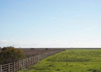 Grupos ecologistas instan a los partidos políticos a apoyar la votación en el Parlamento Europeo para ratificar el acuerdo sobre el Reglamento de Restauración de la Naturaleza