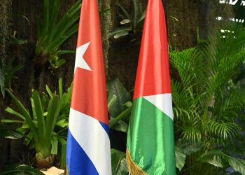 Cuba reafirma inquebrantable apoyo a causa palestina