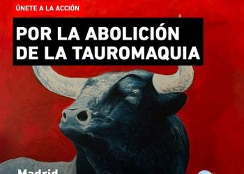 En la 15ª Cumbre de la Red Internacional Antitauromaquia se pedirá a los políticos valentía para afrontar el debate de la abolición de la tauromaquia