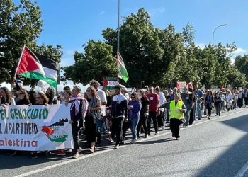 CNT, CGT y USTEA promueven que los centros educativos se posicionen contra el genocidio en Palestina