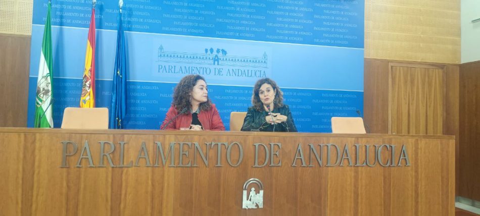Por Andalucía denuncia el deterioro del sistema de universidades públicas mientras el PP da luz verde a la tramitación de otros dos centros privados