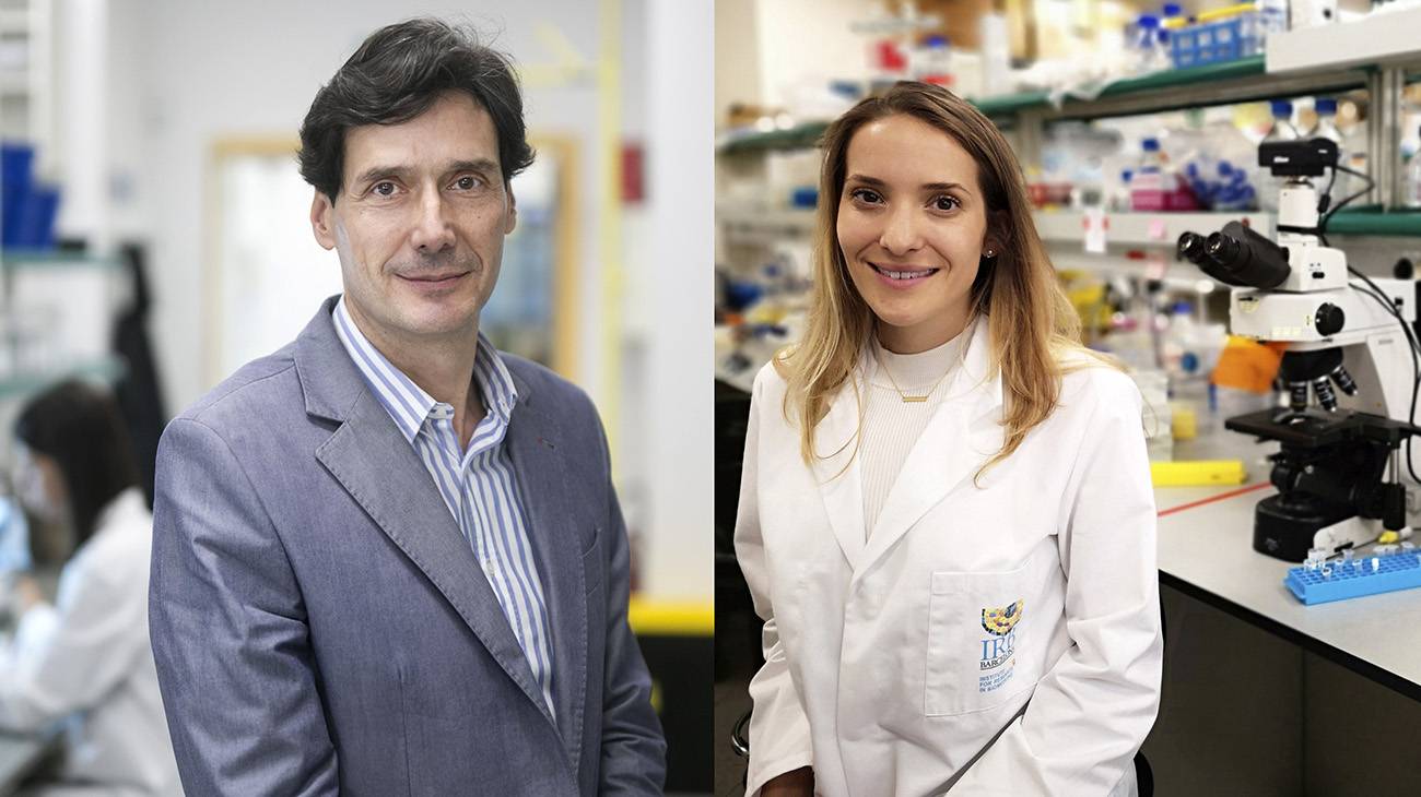 La vitamina B12 un actor clave en la reprogramación celular y la