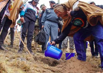 Pulmones Verdes de Bolivia combaten crisis climática
