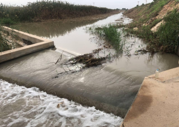 El glifosato llega al Mar Menor