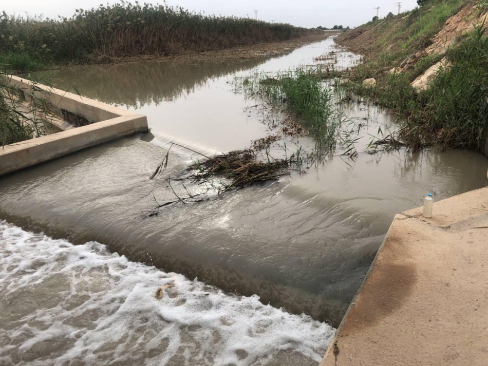 El glifosato llega al Mar Menor