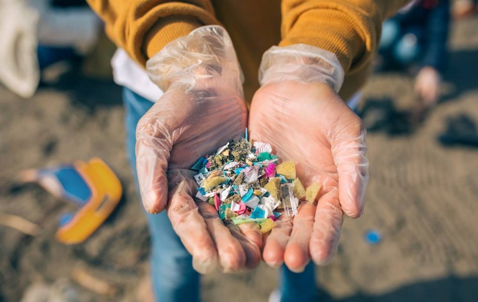 Todas las especies acuáticas de las desembocaduras de los ríos están contaminadas por microplásticos