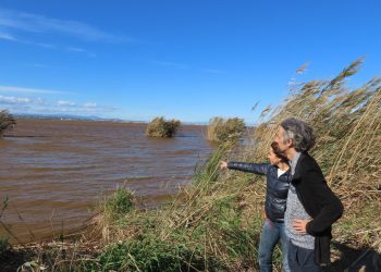 Compromís alerta del color rojizo que presenta el agua de la Albufera y reclama en Medio Ambiente que lo estudie