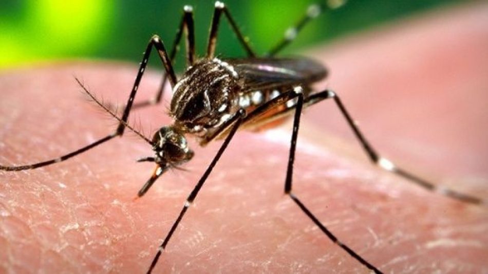 Se disparan las muertes por dengue en Guatemala en 2023