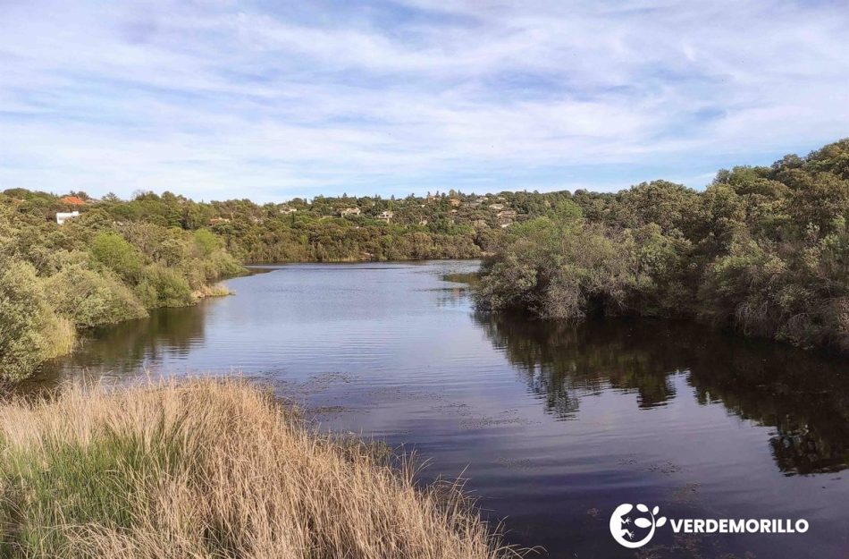 El Ayuntamiento de Valdemorillo desafía al Defensor del Pueblo y persiste en no facilitar información ambiental