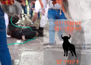 La Plataforma antitaurina de Tarifa lamenta profundamente la reciente “novillada” celebrada en la plaza de toros de Tarifa