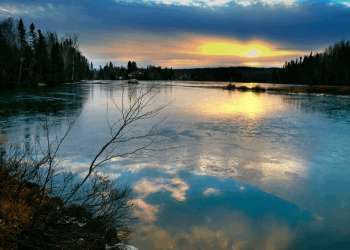 Organizaciones ecologistas instan a la UE a adoptar un Reglamento de Restauración de la Naturaleza efectivo que asegure el buen estado de conservación de los ecosistemas europeos 