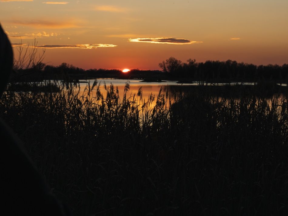 El amanecer de 2028. Para crear mundo habitable, hay que empezar soñando con él